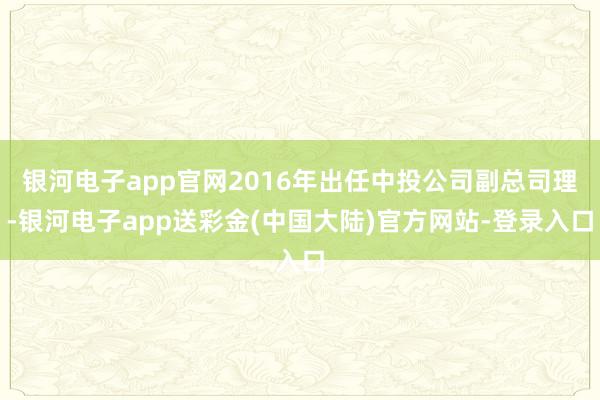 银河电子app官网2016年出任中投公司副总司理-银河电子app送彩金(中国大陆)官方网站-登录入口